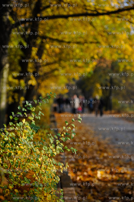 Gdansk. Park Jelitkowski.
06.11.2011
fot. Mateusz...