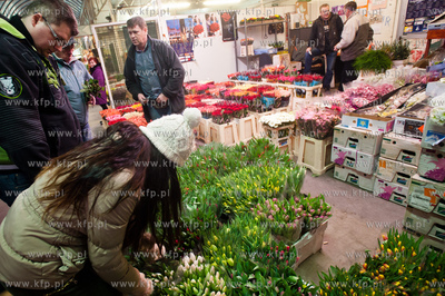 Gdansk. Giełda kwiatowa Dick Inter.
08.03.2013
fot....