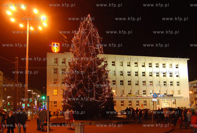 Choinka przy gdynskim magistracie
6.12.2007
Fot....