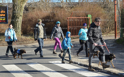 Gdynia. Ogolnopolskie Towarzystwo Ochrony Zwierzat...