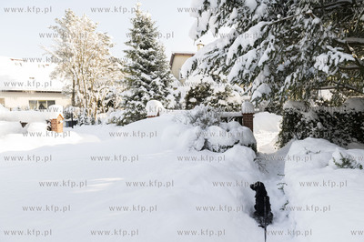 Zima w Dobrzewinie, wsi na Kaszubach w powiecie wejherowskim.10.02.2021...