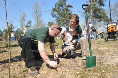 "Las ojców" - czyli sadzenie drzewek przez gdanskich...