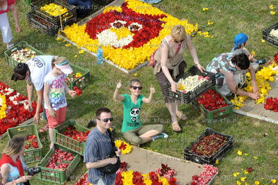 Zulawski Tulipan -  piata edycja imprezy zorganizowanej...