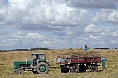 Rolnicy zbieraja slome na polu w Sztumie.
09.08.2012
fot....