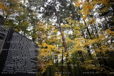 Sopot. Cmentarz Zolnierzy Radzieckich.
24.10.2012
fot....