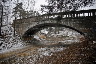 Gdansk. Wycinka drzew na trasie budowanej Kolei Metropolitalnej...