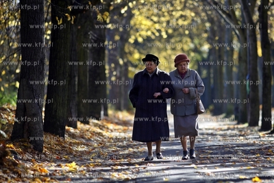 Sopot. Park Polnocny.
14.10.2013
fot. Krzysztof Mystkowski...