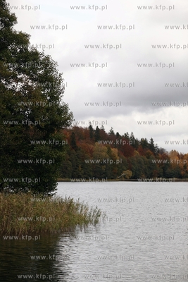 Jezioro przywidzkie.
17.10.2014
fot. Krzysztof Mystkowski...