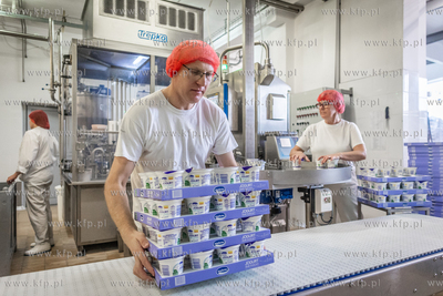 Nowy Dwór Gdański. Okręgowa Spółdzielnia Mleczarska...