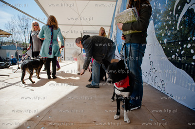 Sopocki Rynek Artystyczny i Ludowy Sopotello. Psia...