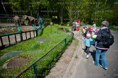 Gdansk. Oliwskie zoo. 14.05.2013 fot. Mateusz Ochocki...