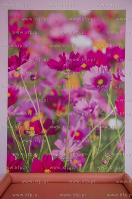 Szpitalu Morskim im. PCK w Gdyni. Otwarcie zmodernizowanego...