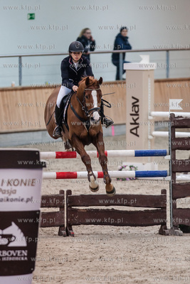 Hipodrom Sopot. Hala Pomarańczowa. Halowe Zawody w...