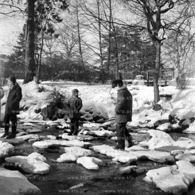 Zima w Parku Oliwskim. 
1968
0007713z
Fot. Zbigniew...