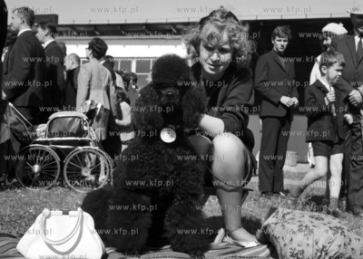 Wystawa psów rasowych na terenie Wyścigów Konnych...