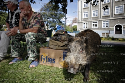 Gdansk. 752 Jarmark sw. Dominika.
31.07.2012
fot....