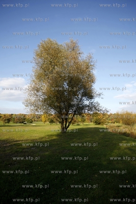 Gdansk. Park Ronalda Reagana.
09.10.2013
fot.Krzysztof...
