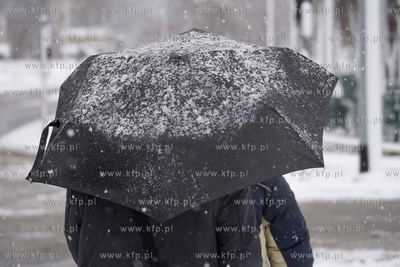 Zima z Gdańsku. Pętla Siedlce. 11.01.2025 fot. Paweł...