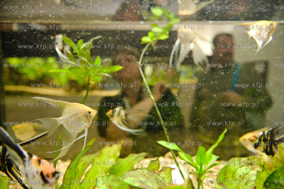 Sopot. Budynek dawnego klubu nocnego Enzym. Nowo otwarte...