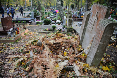 Gdansk. Cmentarz Srebrzysko.
28.10.2011
fot. Mateusz...