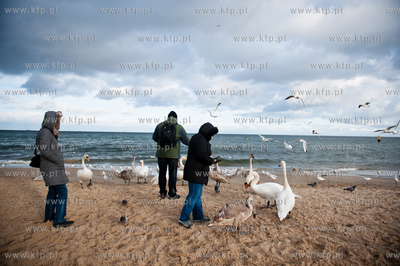 Plaza na granicy Gdanska i Sopotu w zimowe sloneczne...