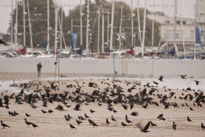Gdynia. Jesienna, deszczowa pogoda na plazy miejskiej...