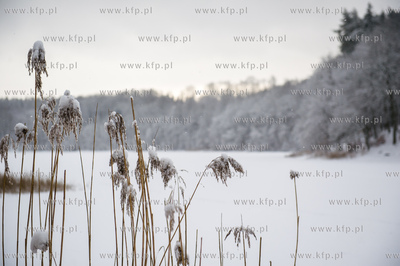 Sniezny zimowy dzien nad jeziorem Otominskim.
21.01.2016
fot....