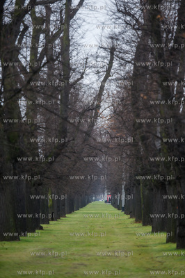 Gdańsk. Znajdująca się w ciągu Alei Zwyciestwa,...