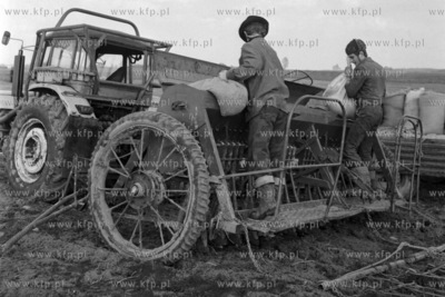 Wiosenne prace przy siewie zboża w Zakładach Rolnych...