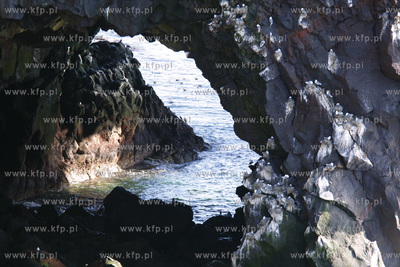 Islandia krajobraz wyspy, Ondverbames czerwic 2009r....