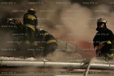 Pozar domu na ulicy Ornitologow 4 w Gdansku - Gorkach...