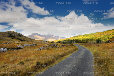 Irlandia poludniowa, hrabstwo Kerry, Killarney, Nz....