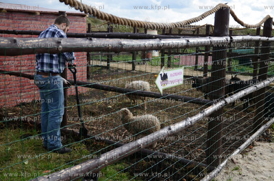 W Debogorzu Wybudowaniu (gmina Kosakowo), tuz przy...