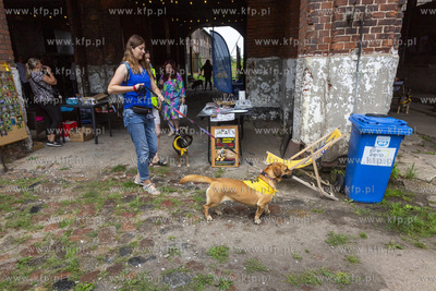 "Cukroteka na 4 łapy" w Pruszczu Gdańskim.
26.08.2023
fot....
