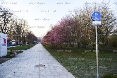 Gdynia. Skwer Kościuszki o poranku. Park Rady Europy....