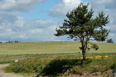 Gdansk, Szadolki, ul. Stezycka. Tereny pod kolejne...
