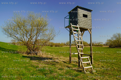 Zniszczona przez nieznanych sprawców ambona ( pocięta...