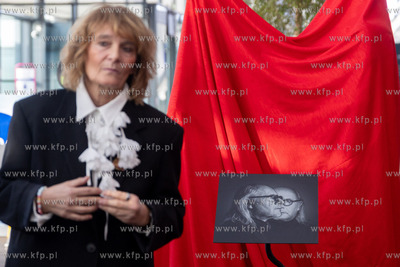 Port Lotniczy Gdańsk im. Lecha Wałęsy. Terminal...