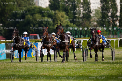 Wyscigi konne na sopockim hipodromie.
Nz wyscig klusakow
14.07.2013
fot....