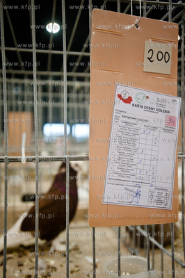 Gdansk. Gdansk. Amber Expo. 8. Miedzynarodowe Targi...