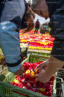 Mokry Dwor. Przygotowania do kolejnej edycji imprezy...