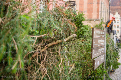 Gdansk. Dlugi Targ. Operacja stawiania swiatecznej...