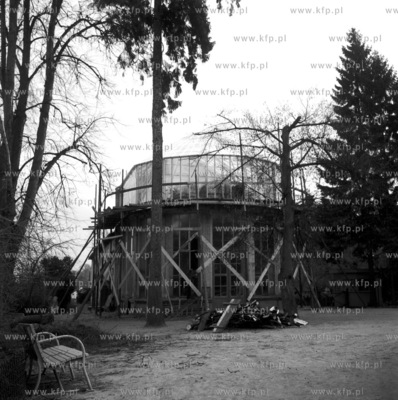 Palmiarnia w Parku Oliwskim w Gdansku Oliwie. 1966...