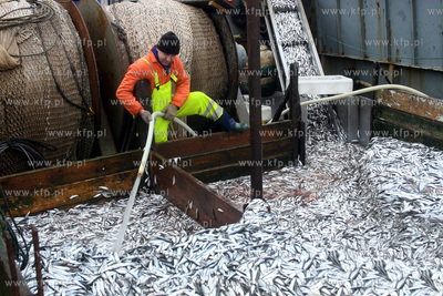 Ropoczal sie sezon na polow szprot. Nz. Kuter KOL 123...