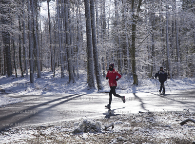 Aktywny przedpołudnie w Trójmiejskim Parku Krajobrazowym....