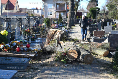 Nad Pomorzem przesła gwałtowana wichura powodując...