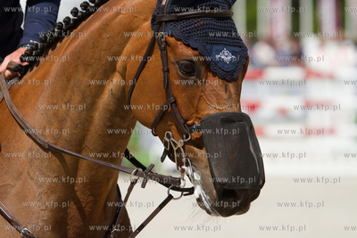 Miedzynarodowe Oficjalne Zawody w Skokach CSIO 5 gwiazdek...