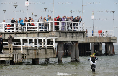 Gdansk. Brzezno. Puchar Mistrzostw Europy przybyl nad...