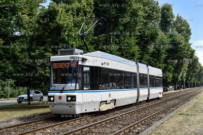 Tramwaj ALSTOM NGD99 w malowaniu nawiązującym do...