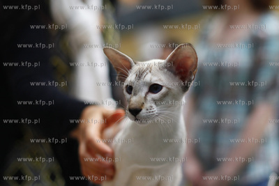 Sopot. Hala 100-lecia Sopotu. Miedzynarodowa Wystawa...